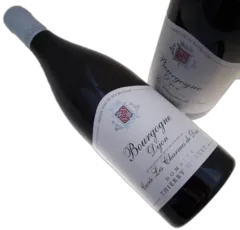 vue du vin Domaine Thierry Mortet "les Charmes de Daix"