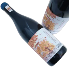 image du vin Côtes du Rhône
