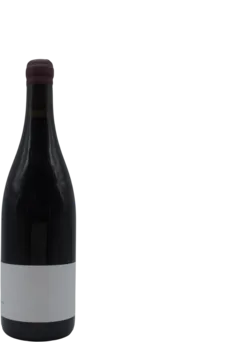 vue du vin Bourgogne Gevrey-Chambertin Biodynamique