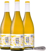 photos du vin Classic