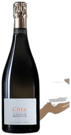 photo Magnum Champagne le Brun de Neuville Brut 