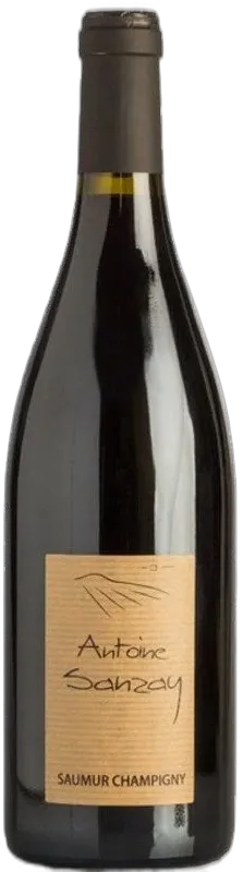 vue du vin les Salles Martin