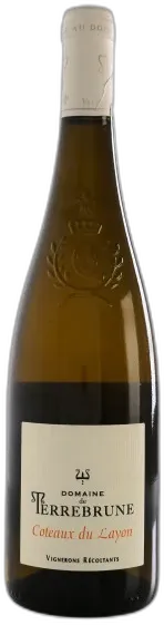 vue du vin Domaine de Terrebrune