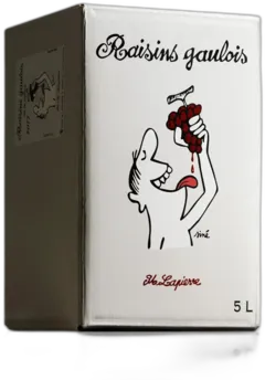 vue du vin Raisins Gaulois