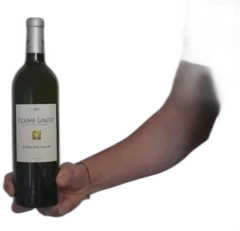 photo du vin Coume des Lloups