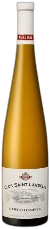 vue du vin Gewurztraminer Grand Cru Hengst Zind Humbrecht Alsace d’Exception