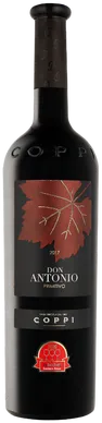 photo du vin Don Antonio Primitivo