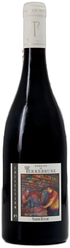 vue du vin Domaine de Terrebrune