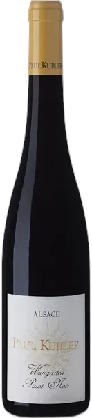 photo Alsace Pinot Noir Weingarten 2019