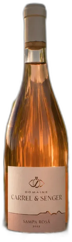photo du vin Apéro Vignes Expérience Unique au Cœur du Vignoble Savoyard