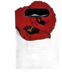 photos du vin Vignerons de Tavel "Fontaine" Vin de France Blanc