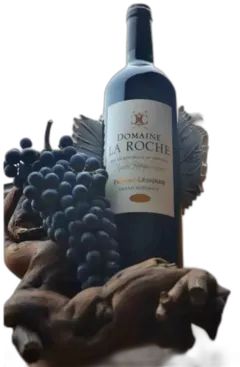 illustration du vin Domaine la Roche