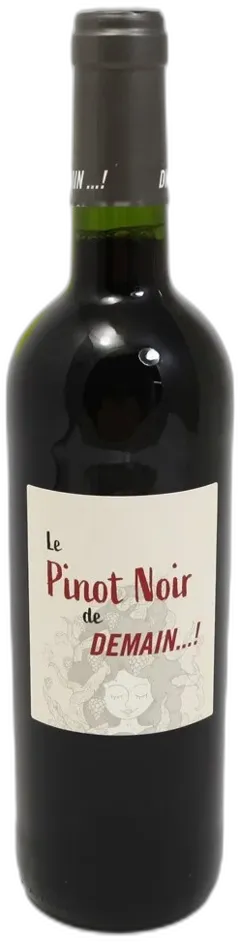 vue du vin Demain Pinot Noir