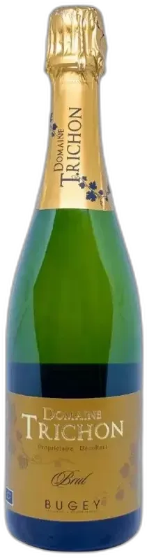 vue du vin Bugey Brut Méthode Traditionnelle