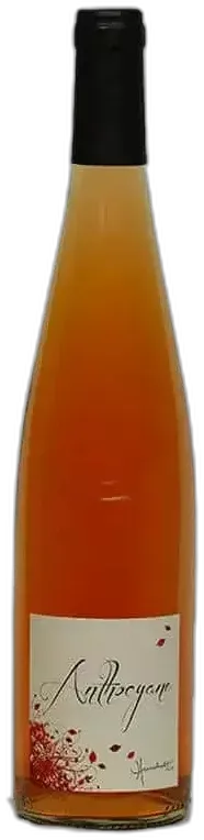 vue du vin Alsace Coteaux Calcaires Pinot Noir
