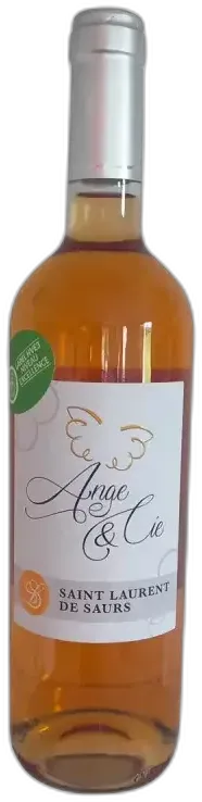 photo du vin le Rebelle Vin Perlé
