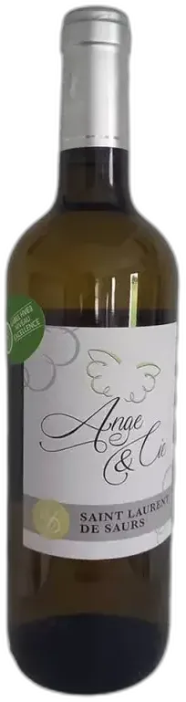 photo du vin le Rebelle Vin Perlé