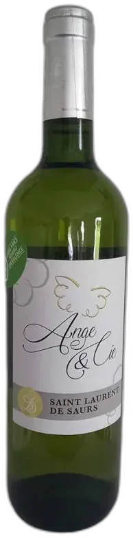 photo du vin le Rebelle Vin Perlé