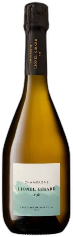 illustration du vin Brut les Vignes du Mont’Igny Magnum