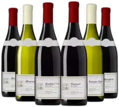 capture du vin Découverte