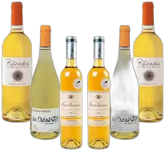 image du vin Ravindra