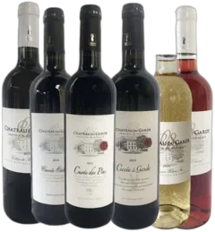 vue du vin Château du Garde