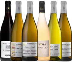 capture du vin Découverte