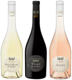 vue du vin Château de Sannes