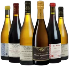 photo du vin Beaujolais-Leynes