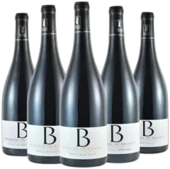 photo du vin Découverte Domaine de Briante