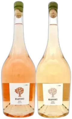 photo du vin Magnum