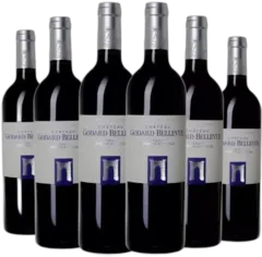 photo du vin Château Godard Bellevue Château Puyanche