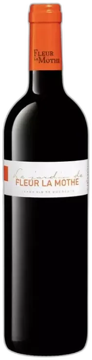 vue du vin le Jardin de Fleur la Mothe