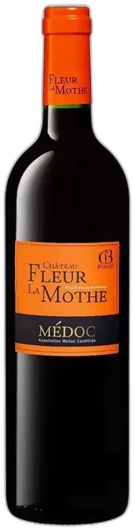 vue du vin le Jardin de Fleur la Mothe
