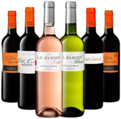 vue du vin le Jardin de Fleur la Mothe
