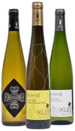 vue du vin Alsace Rosenberg Pinot