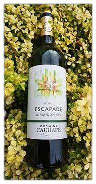 vue du vin Escapade