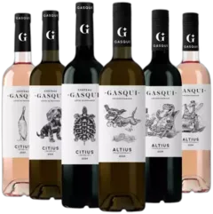 image du vin Découverte Château Gasqui