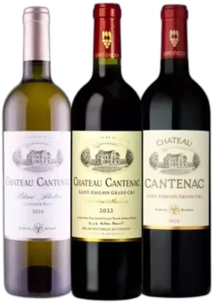 illustration du vin Découverte