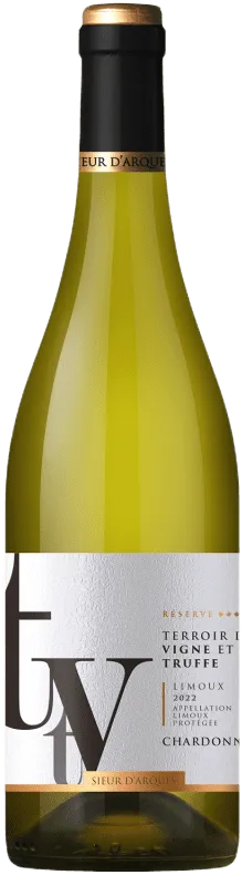 aperçu du vin Terroir de Vigne et de Truffe