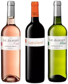 vue du vin le Jardin de Fleur la Mothe