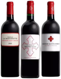 vue du vin Châteaux Moncets & Chambrun