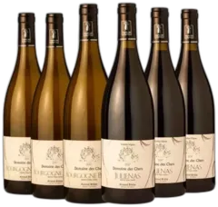 photos du vin Découverte Bourgogne et Juliénas