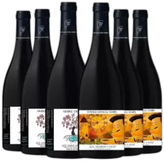 illustration du vin le Secret de Mon Père 2015 Domaine des Chers, Juliénas