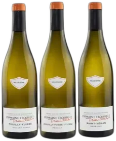 photos du vin Bourgogne