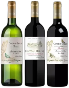 photo du vin Château Dallau