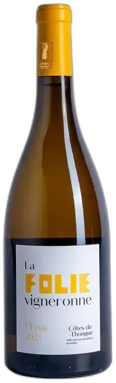 vue du vin l’Envie