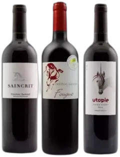 image du vin Château Saincrit
