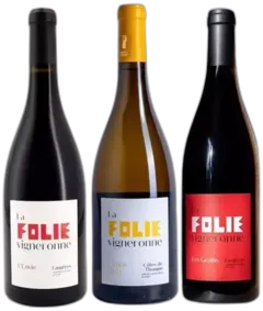 vue du vin Folie Vigneronne
