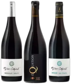 image du vin Gilles Coperet